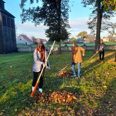 Wyświetl org. rozmiar