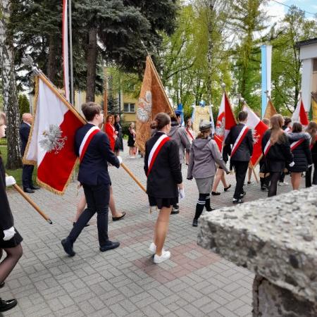 Wyświetl org. rozmiar