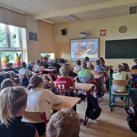 Wyświetl org. rozmiar