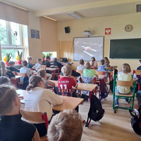 Wyświetl org. rozmiar