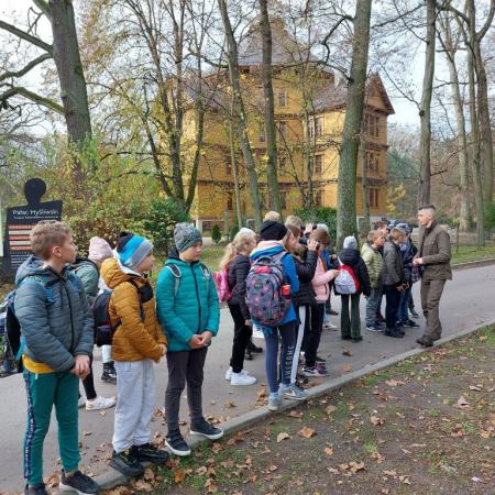 Wyświetl org. rozmiar