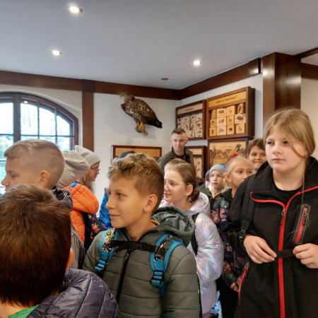 Wyświetl org. rozmiar