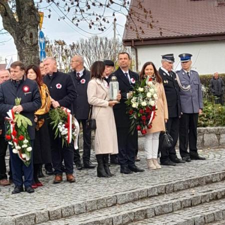 Wyświetl org. rozmiar