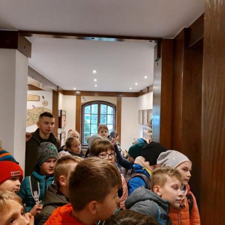 Wyświetl org. rozmiar