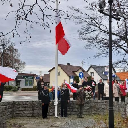 Wyświetl org. rozmiar