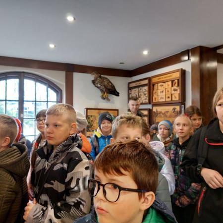 Wyświetl org. rozmiar