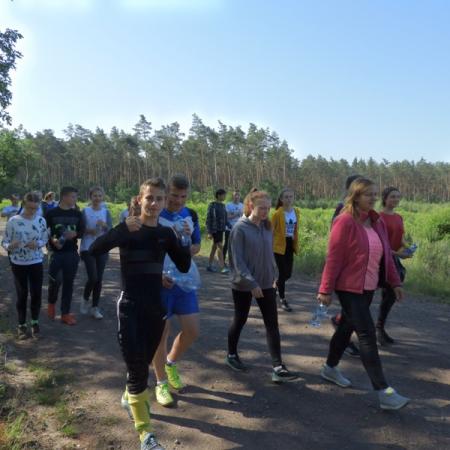 Wyświetl org. rozmiar