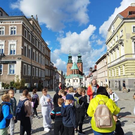 Wyświetl org. rozmiar