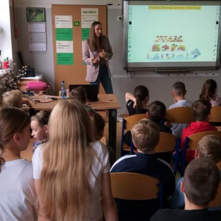 Wyświetl org. rozmiar