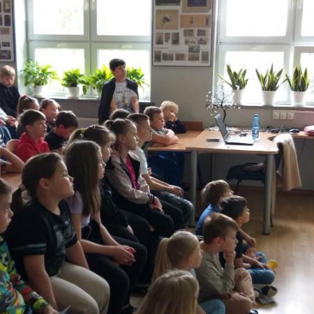 Wyświetl org. rozmiar
