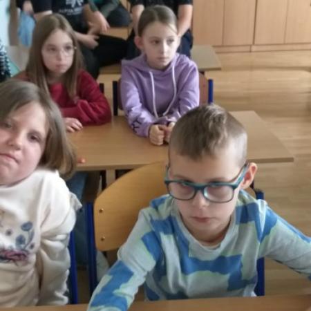 Wyświetl org. rozmiar