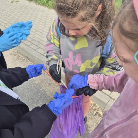 Wyświetl org. rozmiar