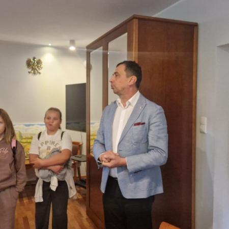 Wyświetl org. rozmiar