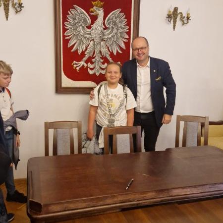 Wyświetl org. rozmiar