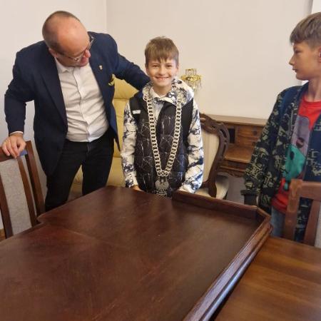Wyświetl org. rozmiar