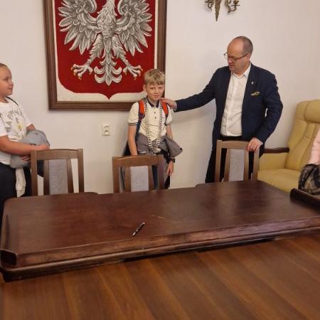 Wyświetl org. rozmiar