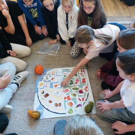 Wyświetl org. rozmiar