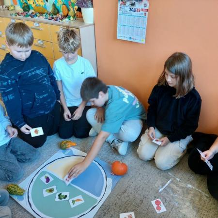 Wyświetl org. rozmiar