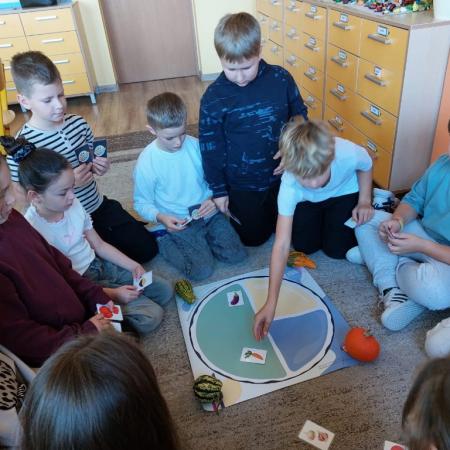 Wyświetl org. rozmiar