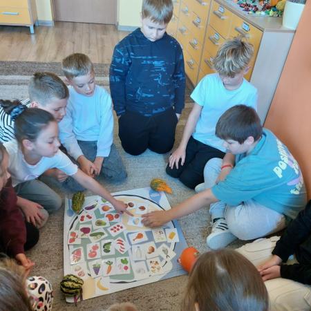 Wyświetl org. rozmiar