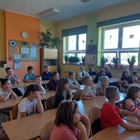 Wyświetl org. rozmiar