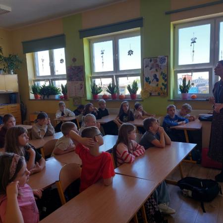 Wyświetl org. rozmiar