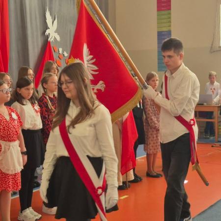 Wyświetl org. rozmiar