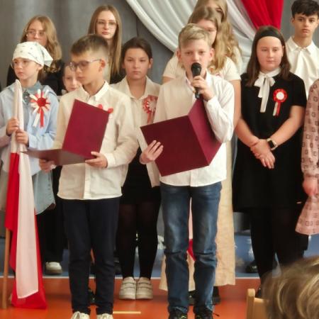 Wyświetl org. rozmiar