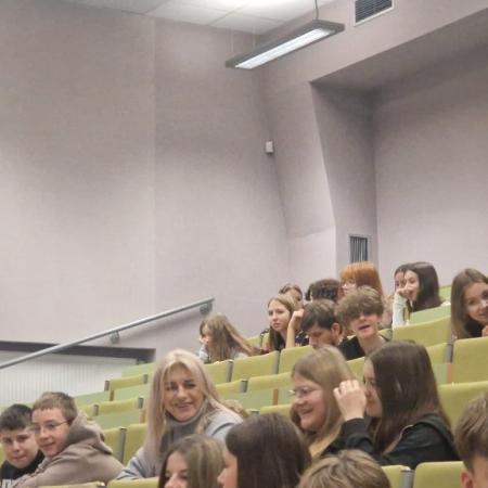 Wyświetl org. rozmiar