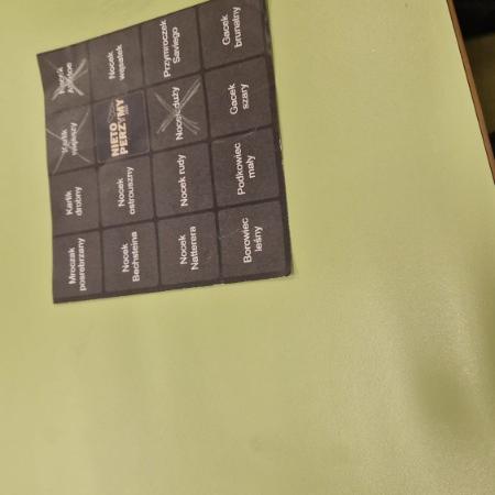 Wyświetl org. rozmiar