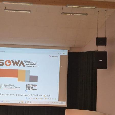 Wyświetl org. rozmiar