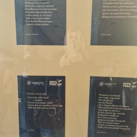 Wyświetl org. rozmiar