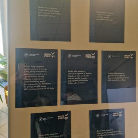 Wyświetl org. rozmiar