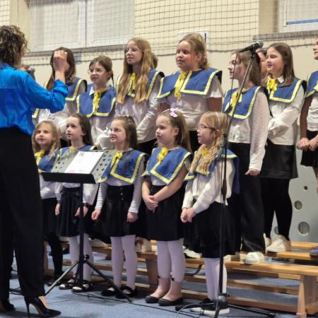 Wyświetl org. rozmiar