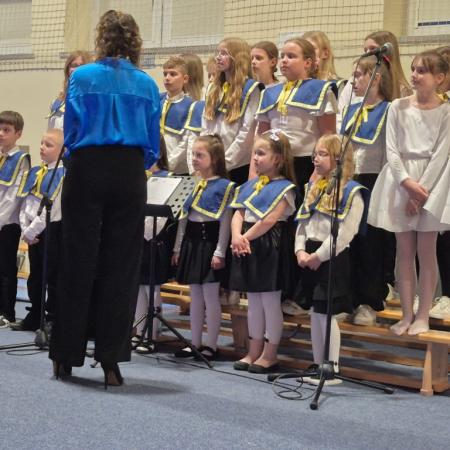 Wyświetl org. rozmiar