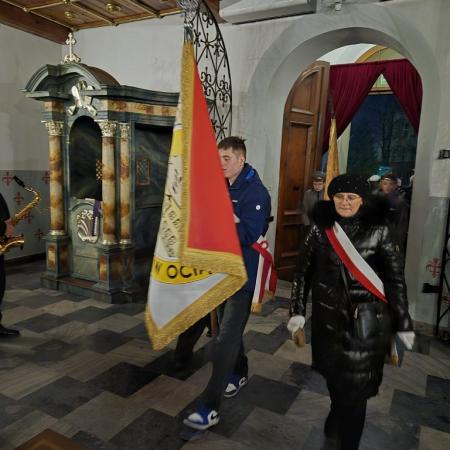 Wyświetl org. rozmiar