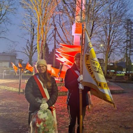 Wyświetl org. rozmiar