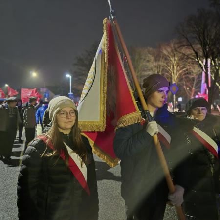 Wyświetl org. rozmiar