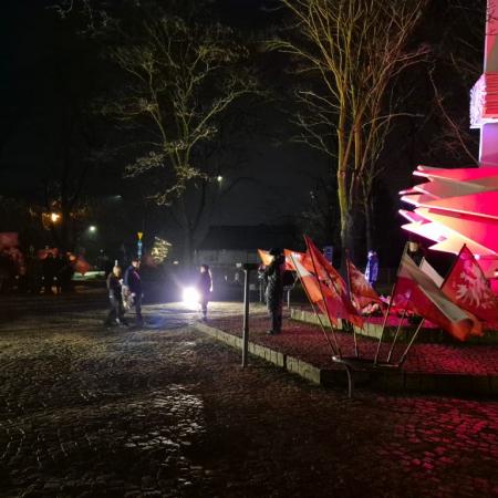 Wyświetl org. rozmiar