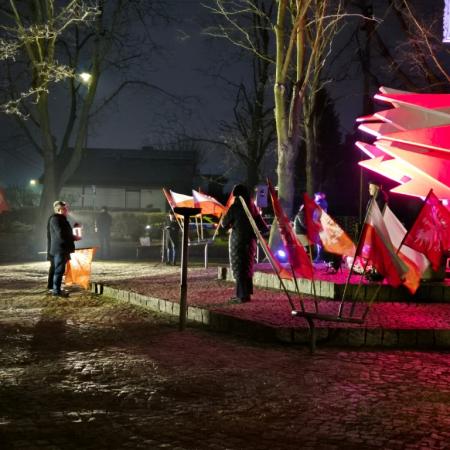 Wyświetl org. rozmiar