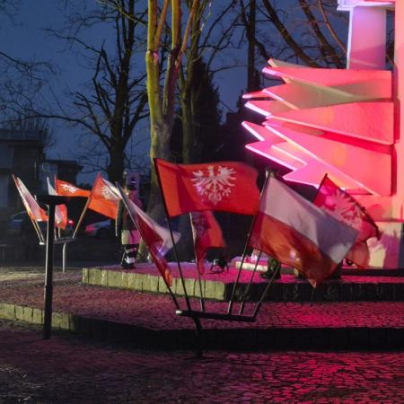 Wyświetl org. rozmiar