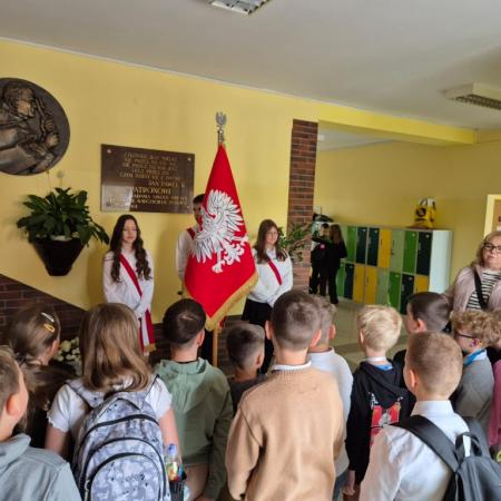 Wyświetl org. rozmiar