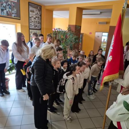 Wyświetl org. rozmiar