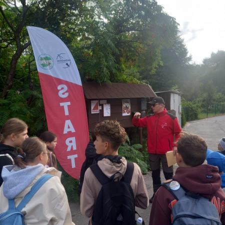 Wyświetl org. rozmiar