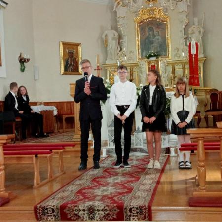 Wyświetl org. rozmiar
