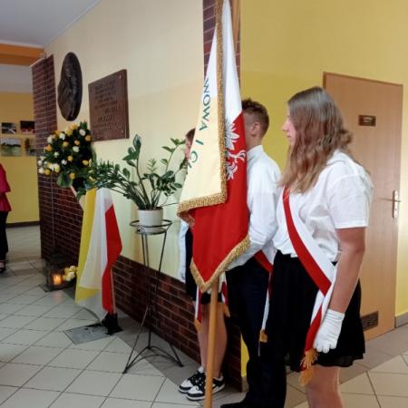 Wyświetl org. rozmiar