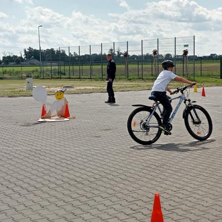 Wyświetl org. rozmiar