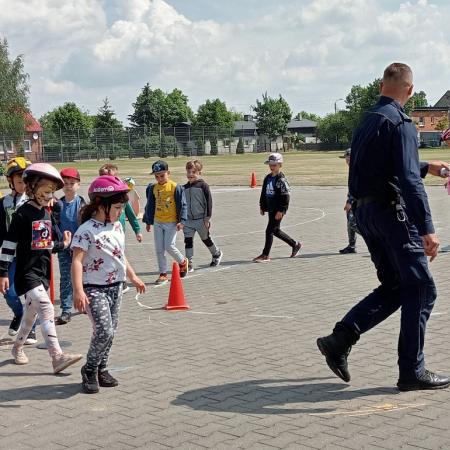 Wyświetl org. rozmiar