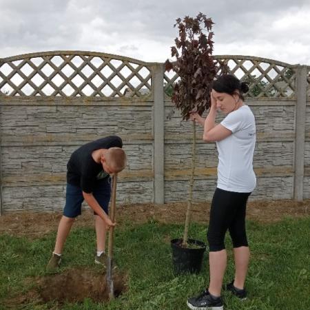 Wyświetl org. rozmiar