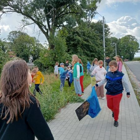 Wyświetl org. rozmiar